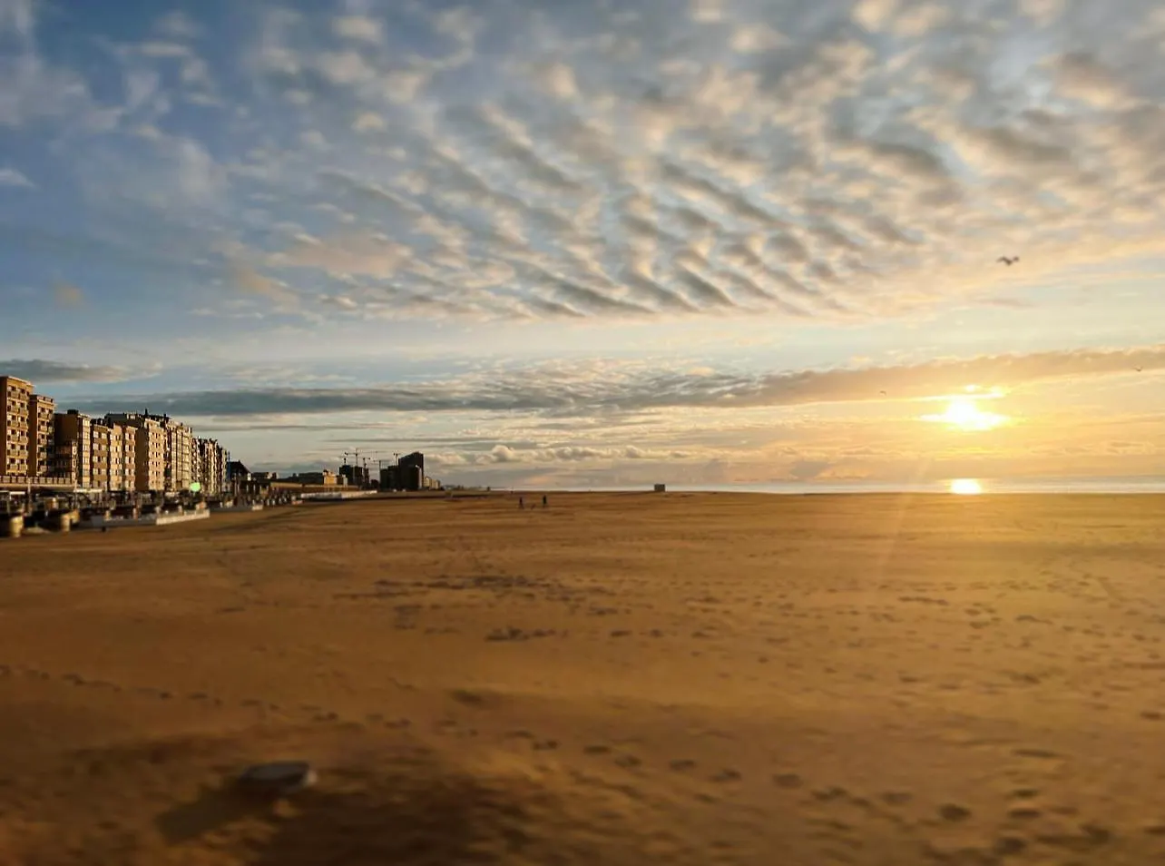 Studio Sea View - Royal Ascot Ostend Belgium